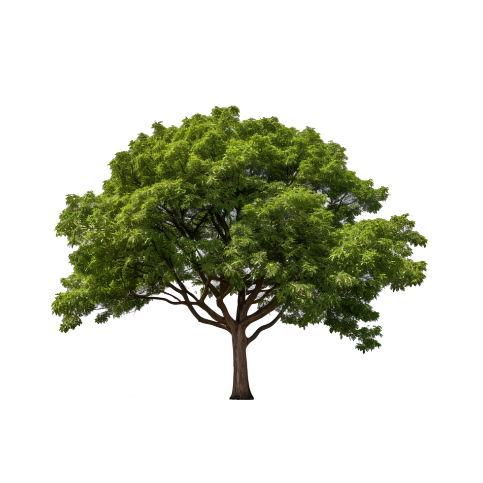 AI generated Plant tree tranquility outdoors  generative AI png
