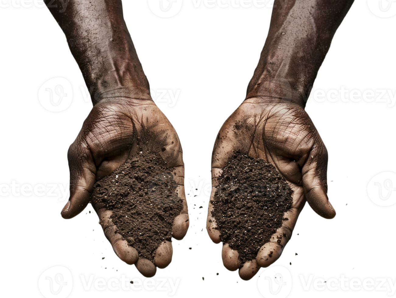 AI generated a handful of soil with transparent background png
