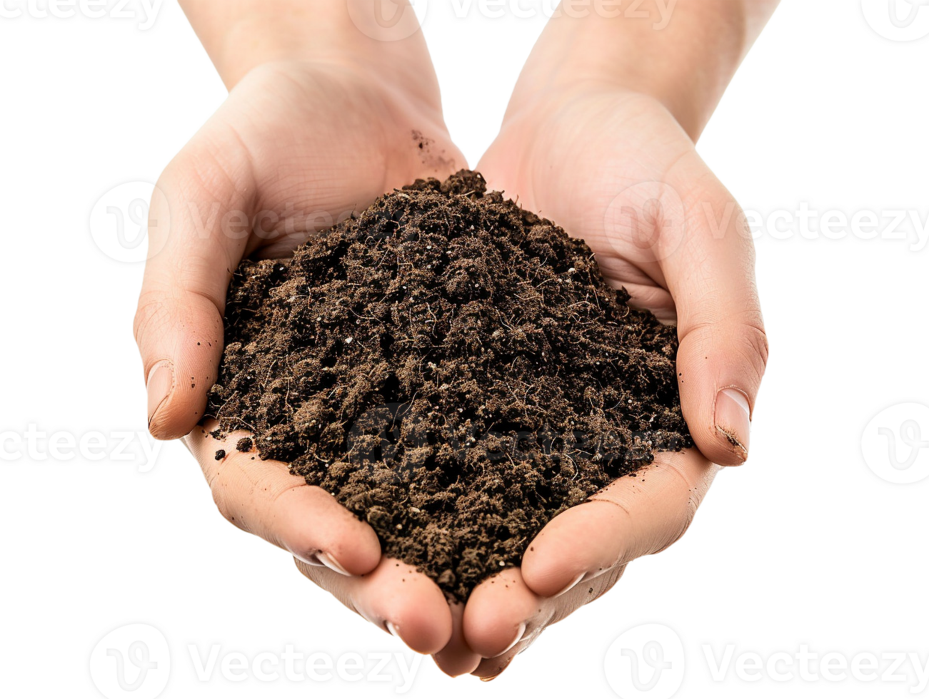 AI generated a handful of soil with transparent background png
