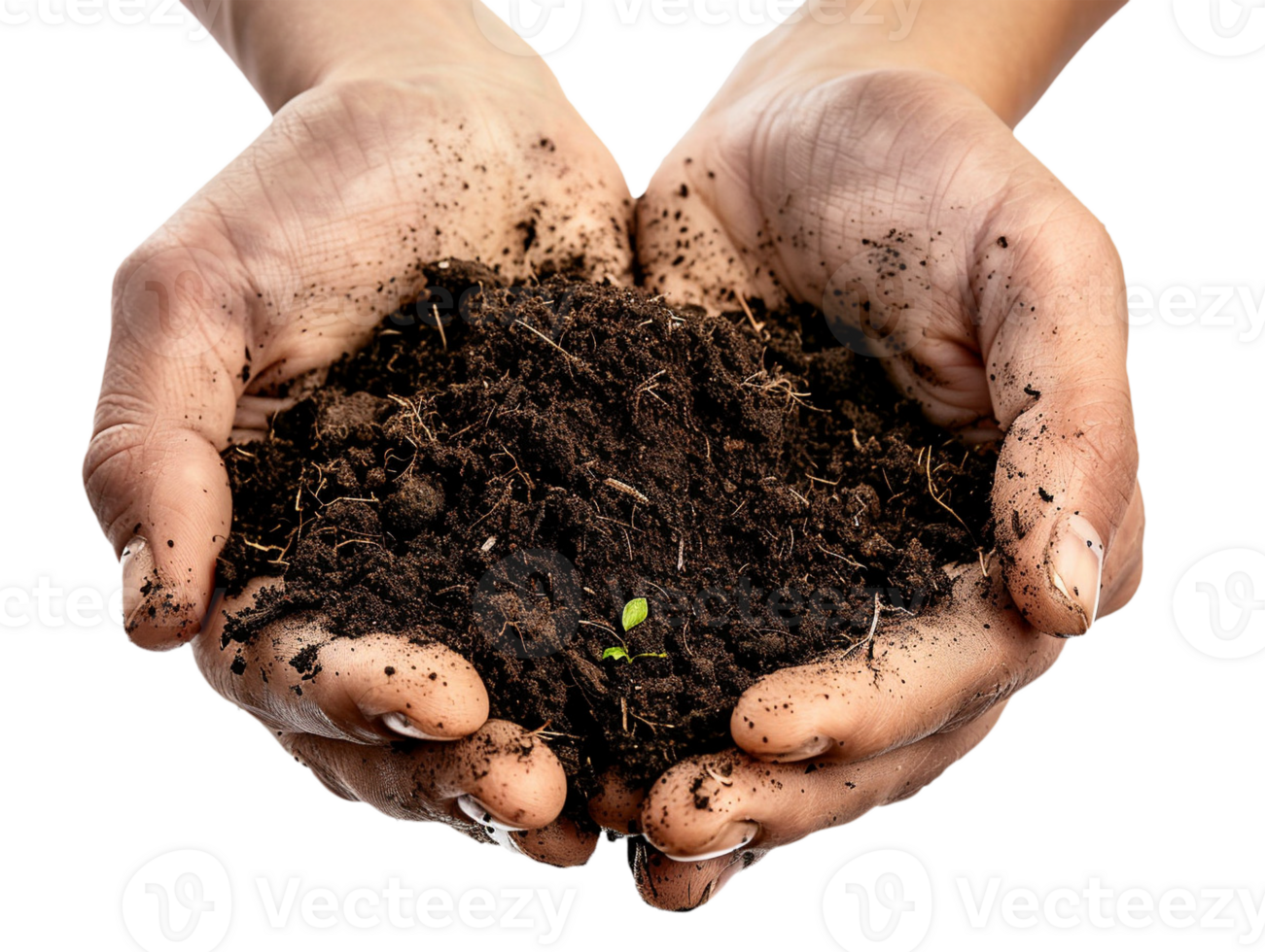 AI generated a handful of soil with transparent background png