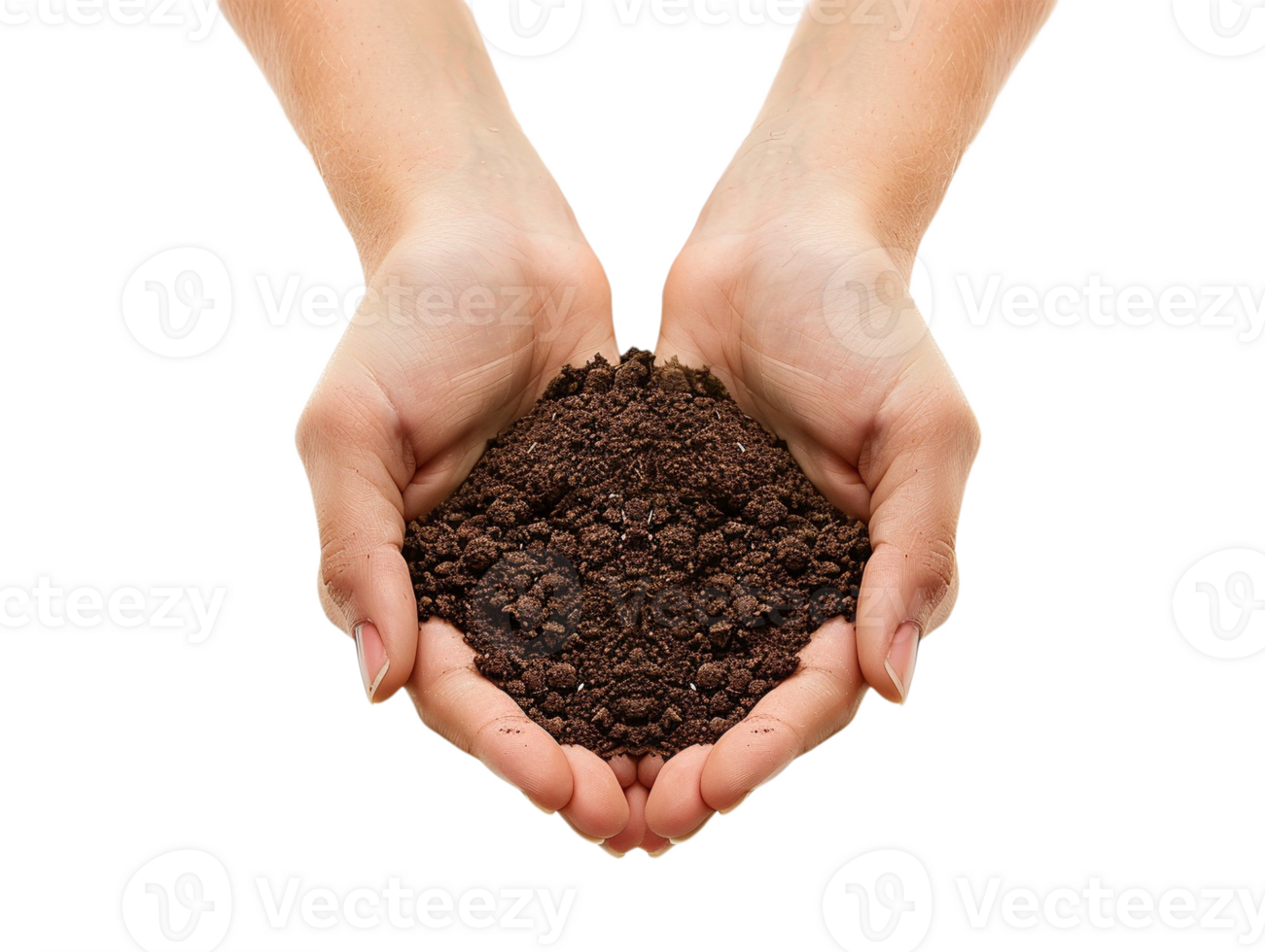 AI generated a handful of soil with transparent background png