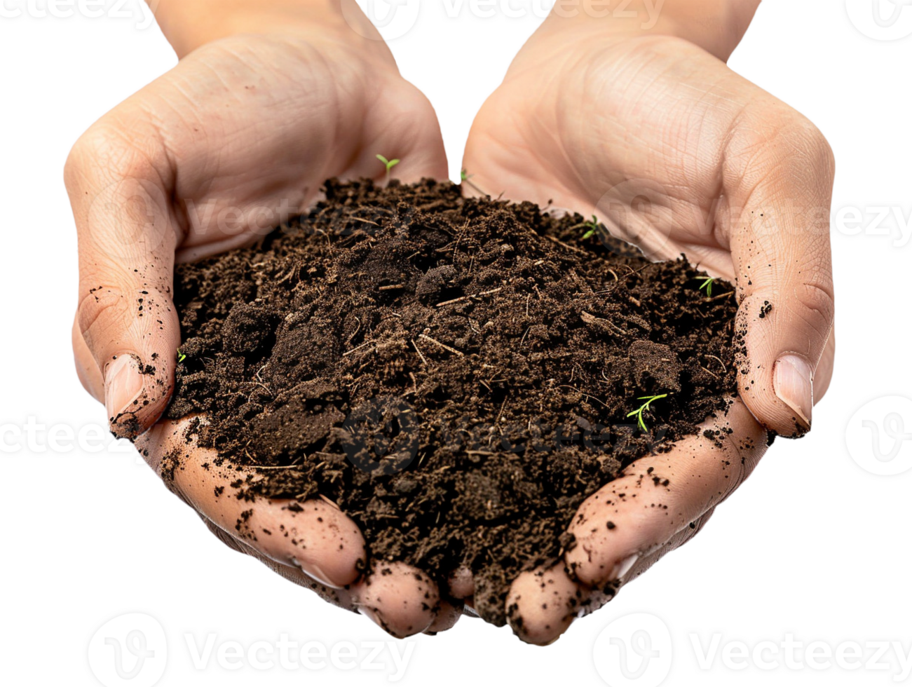 AI generated a handful of soil with transparent background png