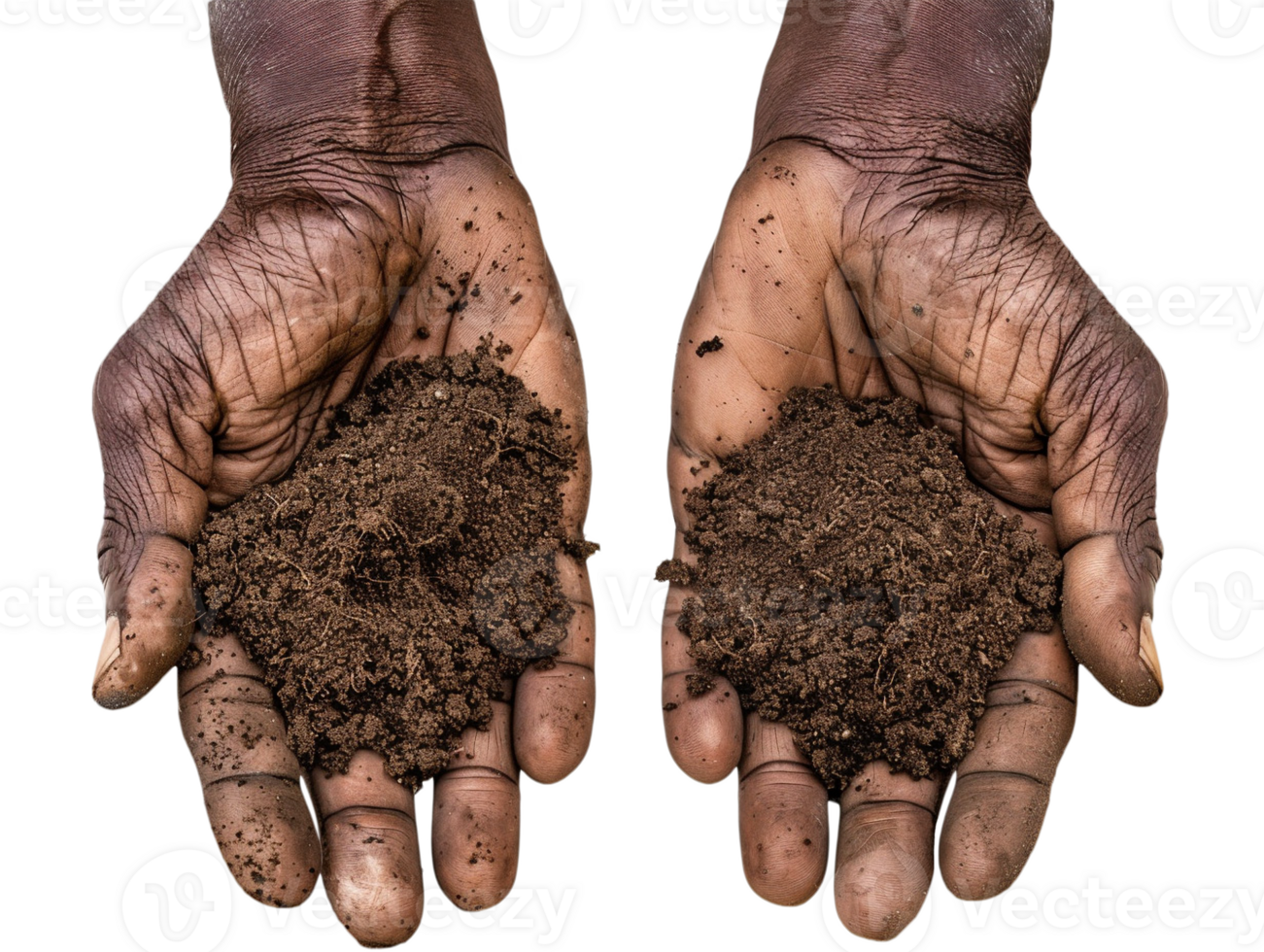 AI generated a handful of soil with transparent background png