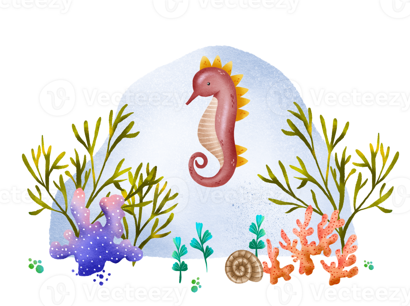 Hand-drawn postcard with the underwater world. Seahorse with sea colored algae and coral. Seascape. At the bottom of the ocean and sea. Cute illustration for children png