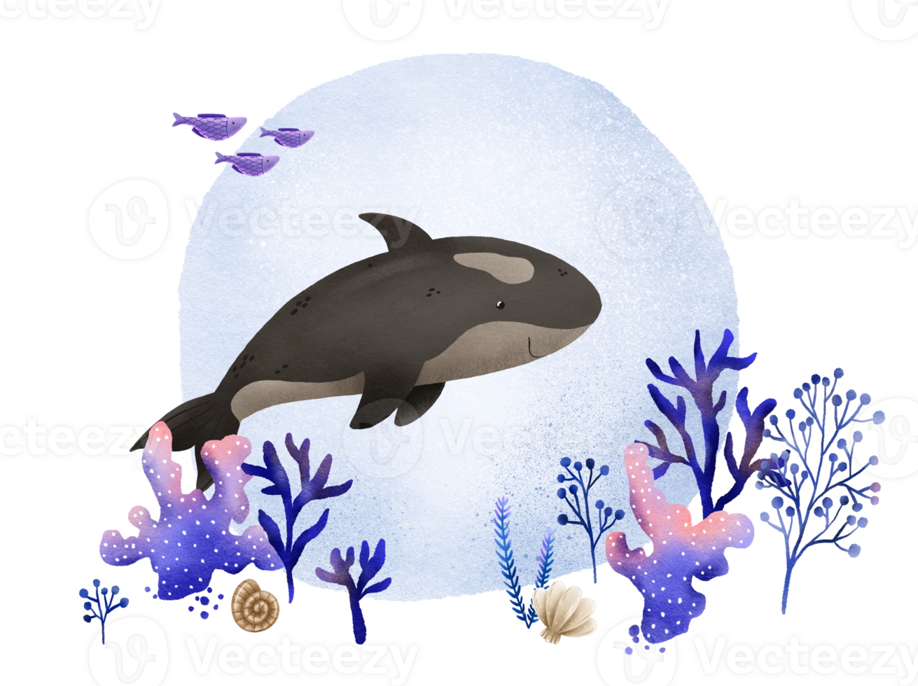 Hand-drawn postcard with the underwater world. Black killer whale and marine colored algae and corals. At the bottom of the ocean and sea. Cute illustration for children png