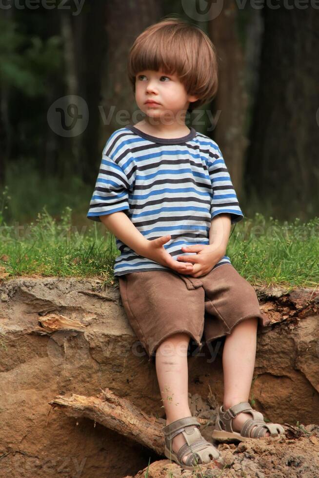 Caucasian boy in striped t shirt sitting in the wood and playing with a cone. Nature, summer, looking at the camera photo