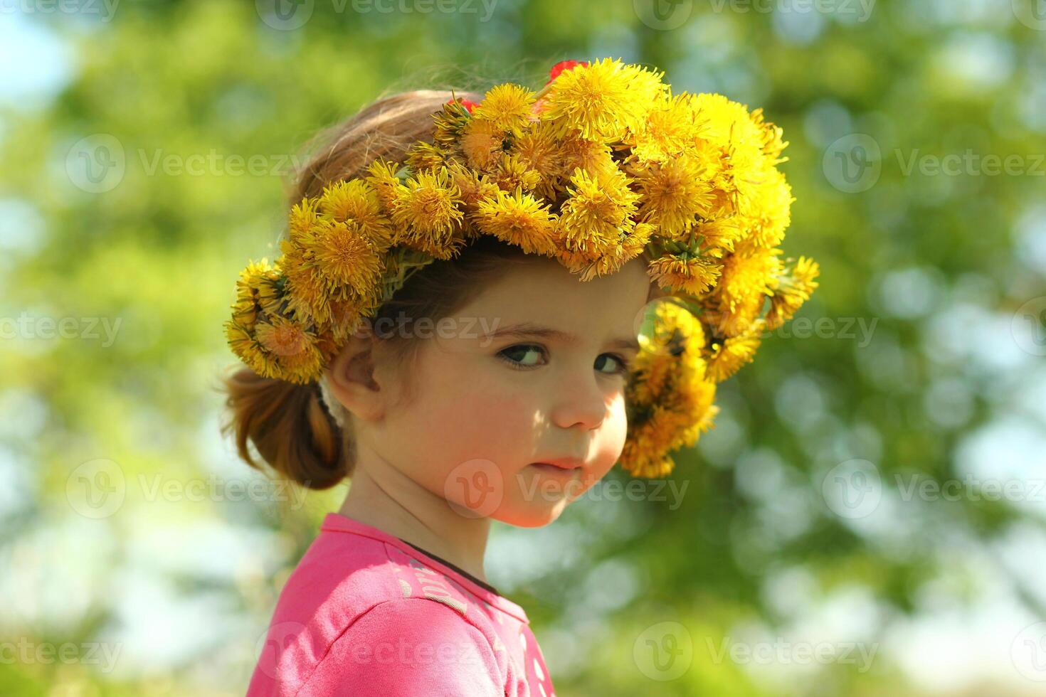 Springtime sunlit portrait of a cute two years old girl posing with a dandelion wreath, looking at the camera photo