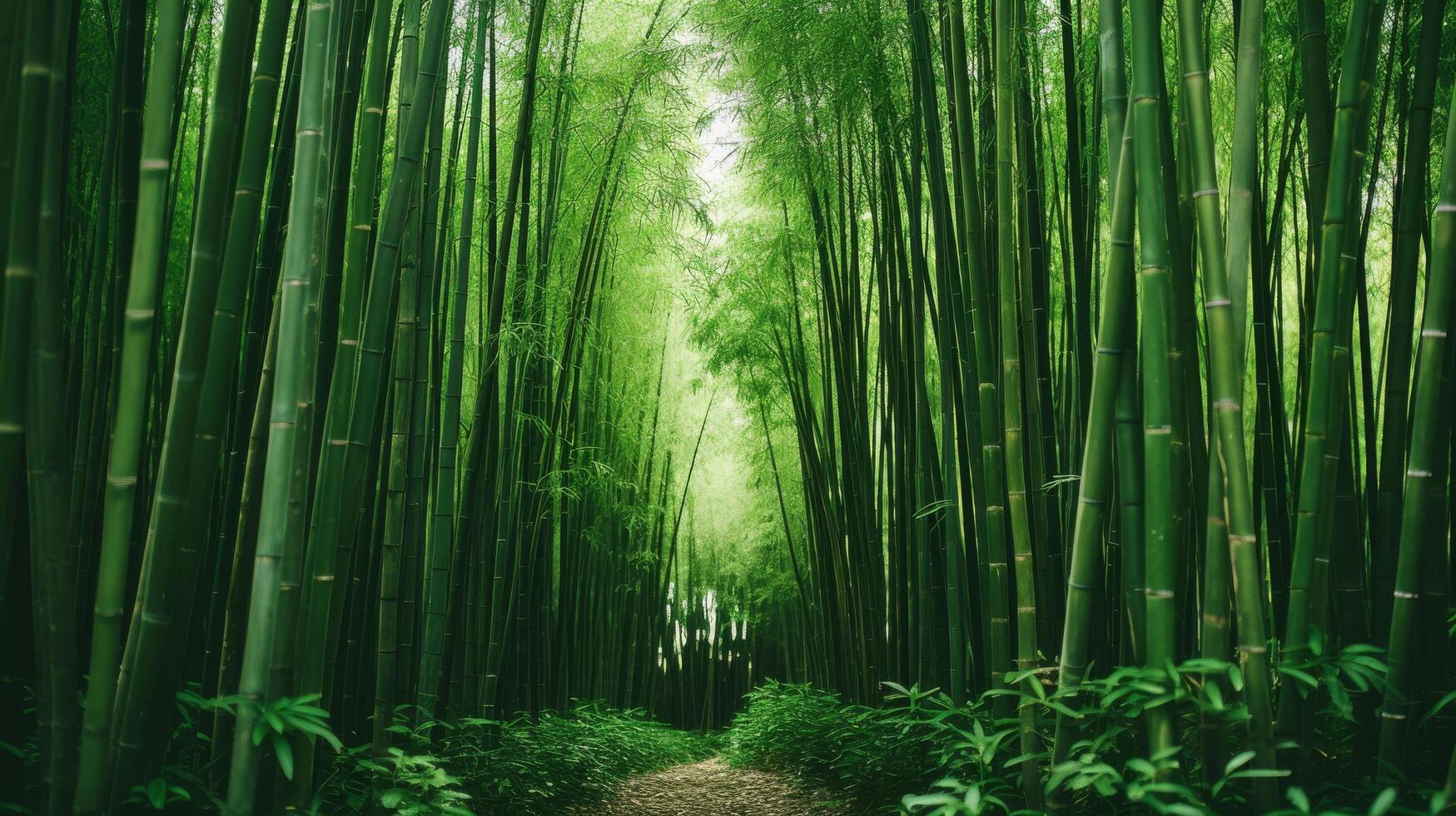 AI generated Slender bamboo plants in a serene field photo