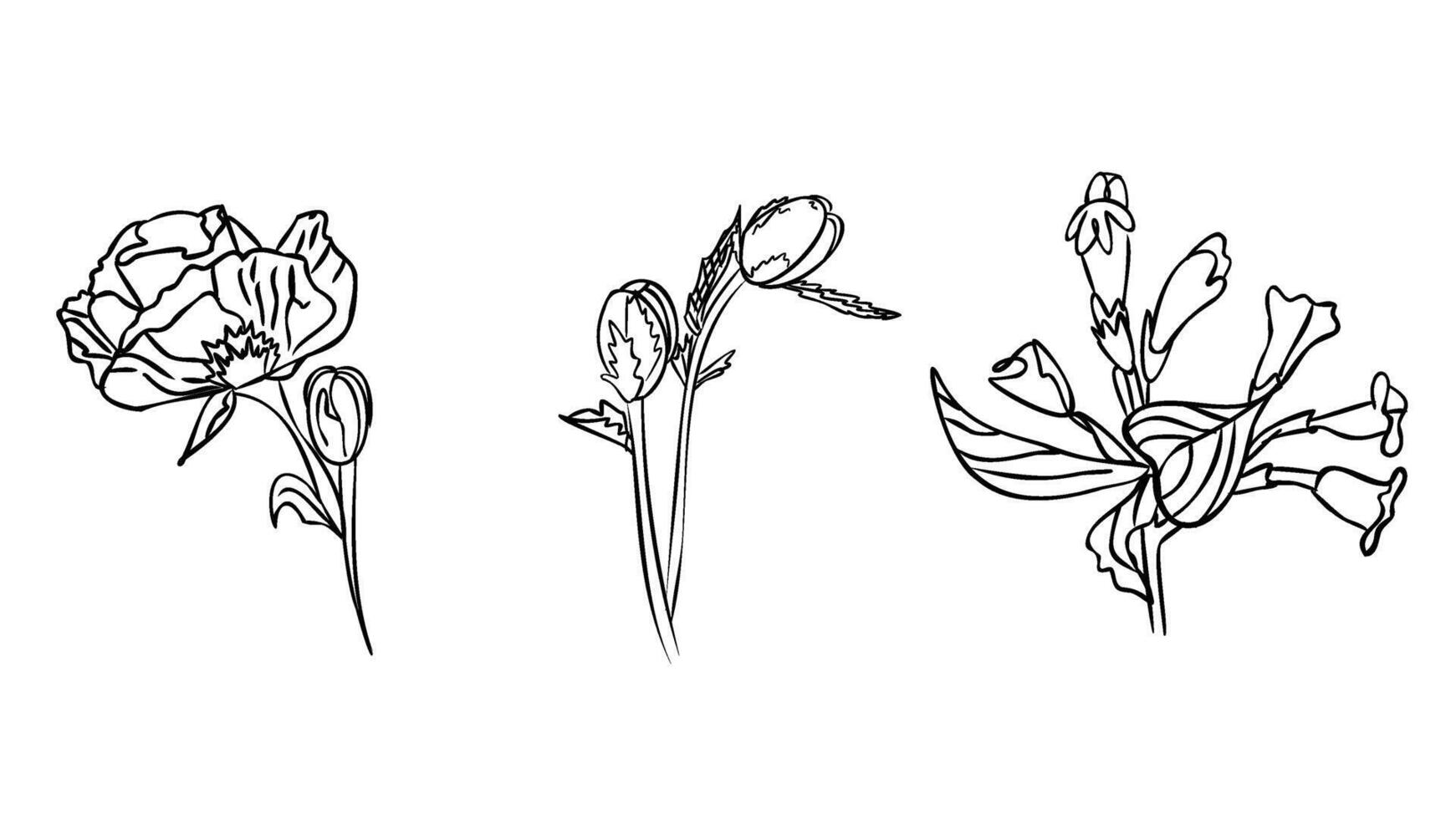 flowers Black and white with line art vector illustration.