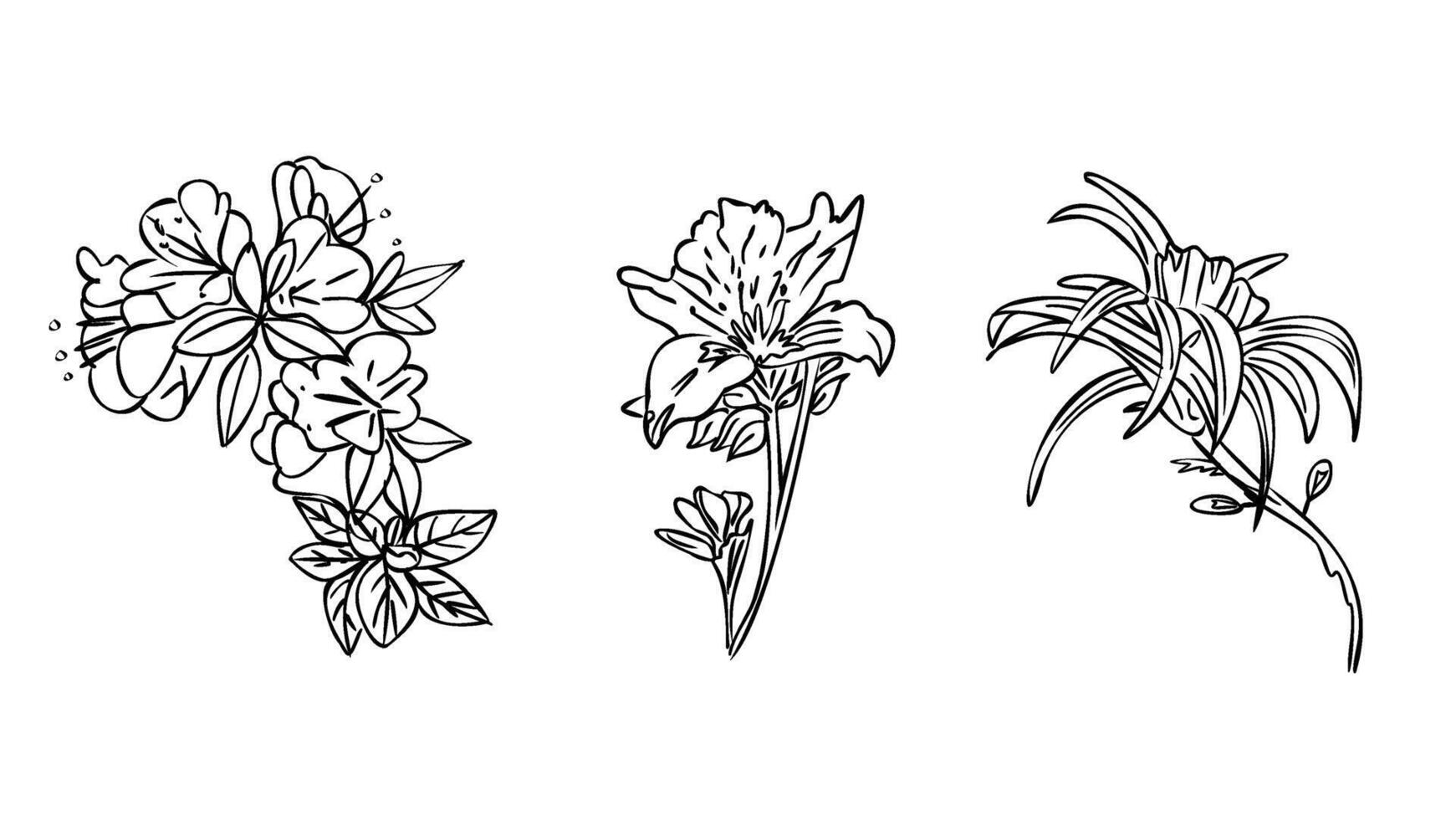 set flowers hand drawing black and white isolated vector