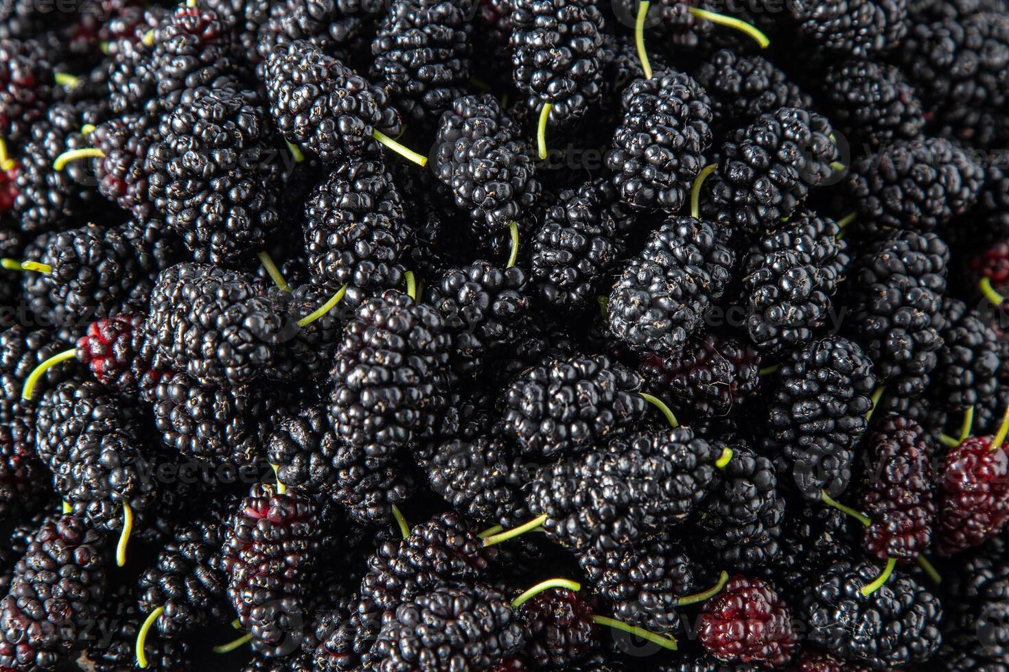 Mulberry in a bowl. Blackberry harvest in summer. Fruit food background. photo