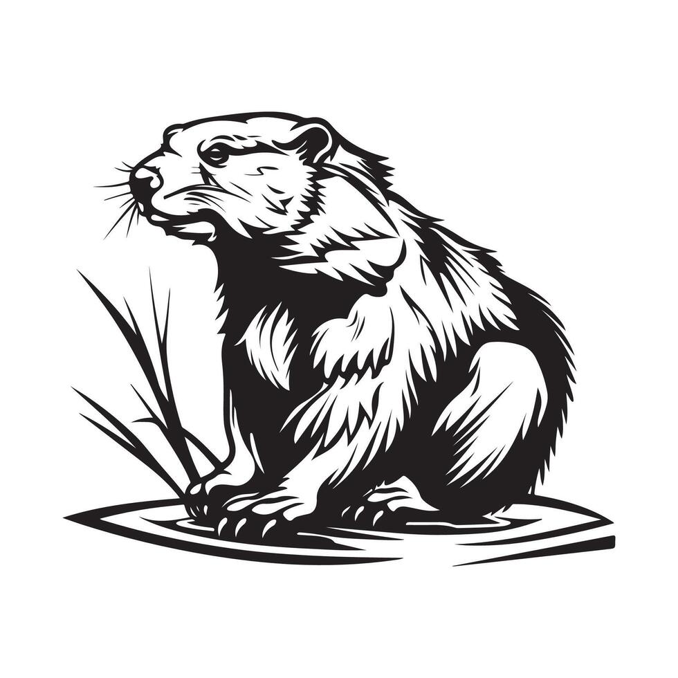 Beaver Vector Art, Icons, and Graphics