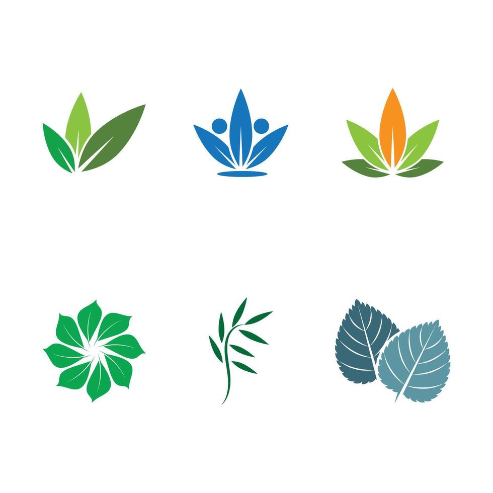 Green leaf logo vector element symbol template