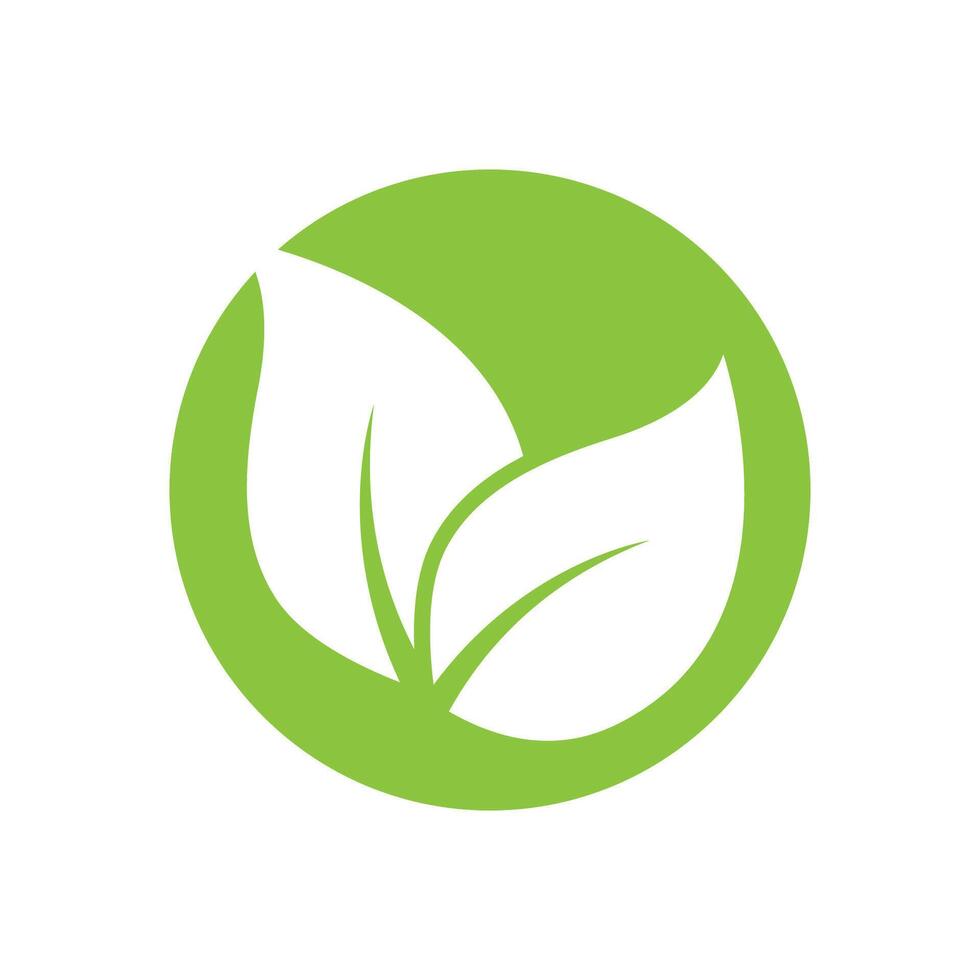 verde hoja logo vector modelo elemento símbolo diseño