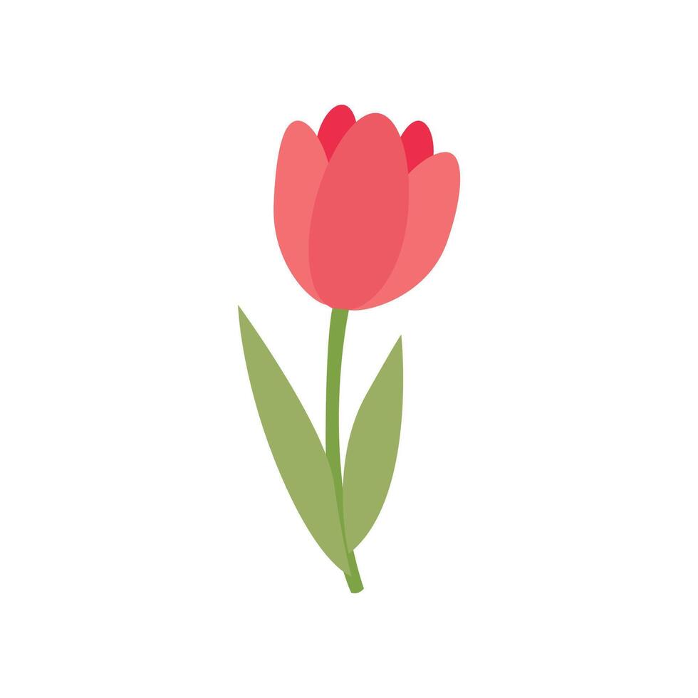 hand drawn cute spring tulip flower vector