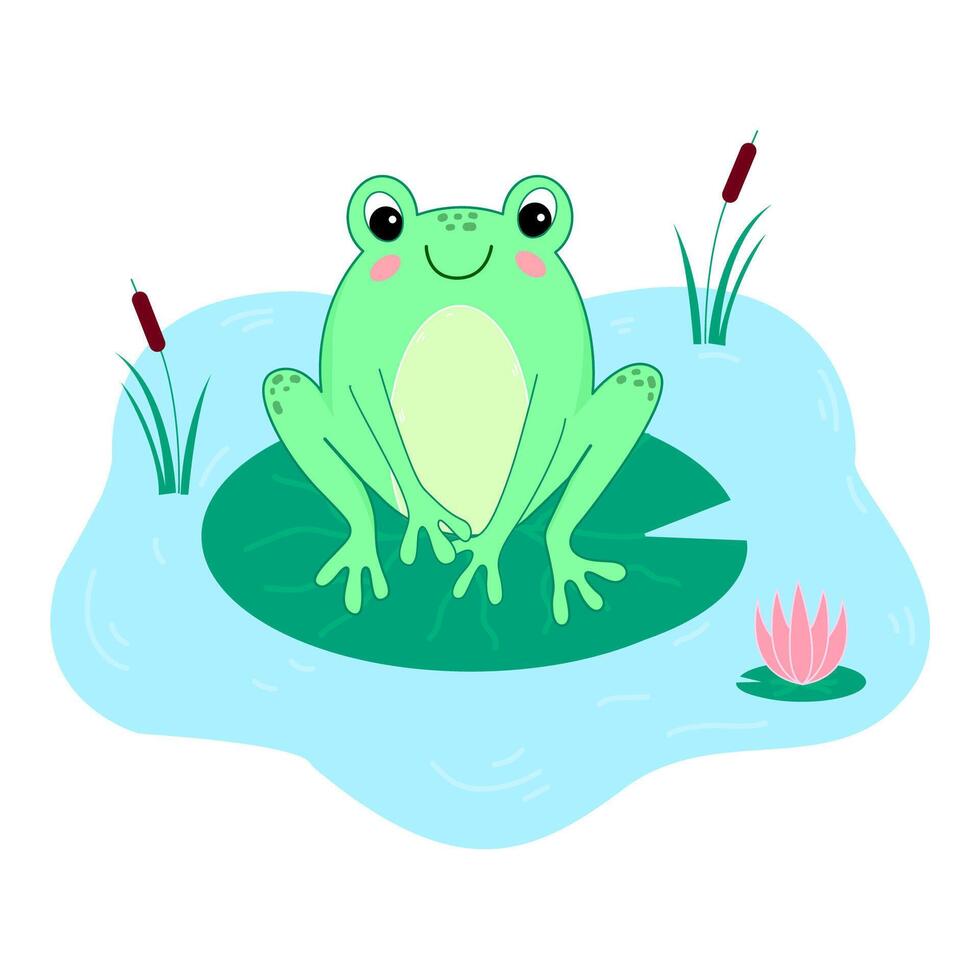 Hand drawn frog cartoon illustration vector