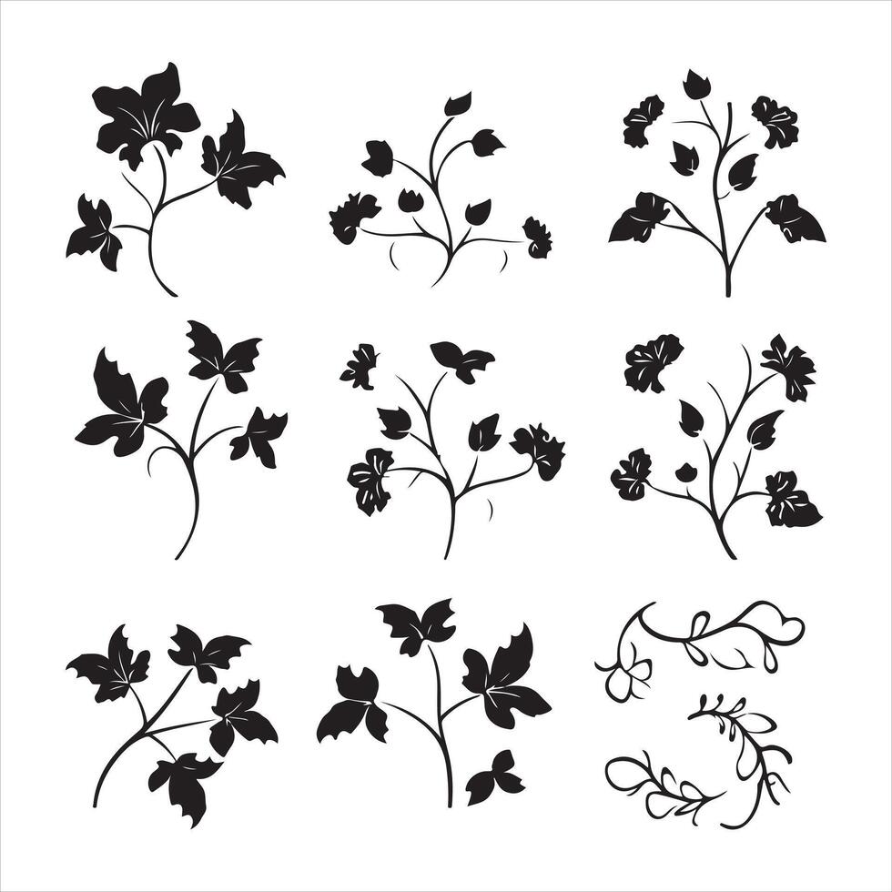 A black silhouette Ivy flower set vector