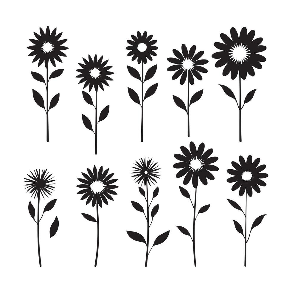 A black silhouette Daisy flower set vector