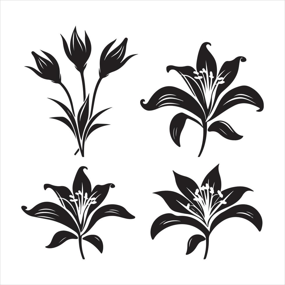 A black silhouette Lily flower set vector