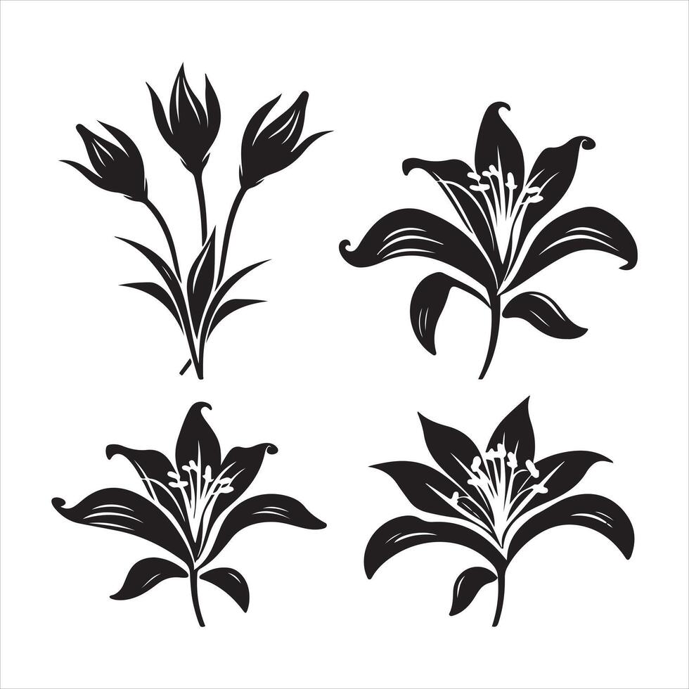 un negro silueta lirio flor conjunto vector