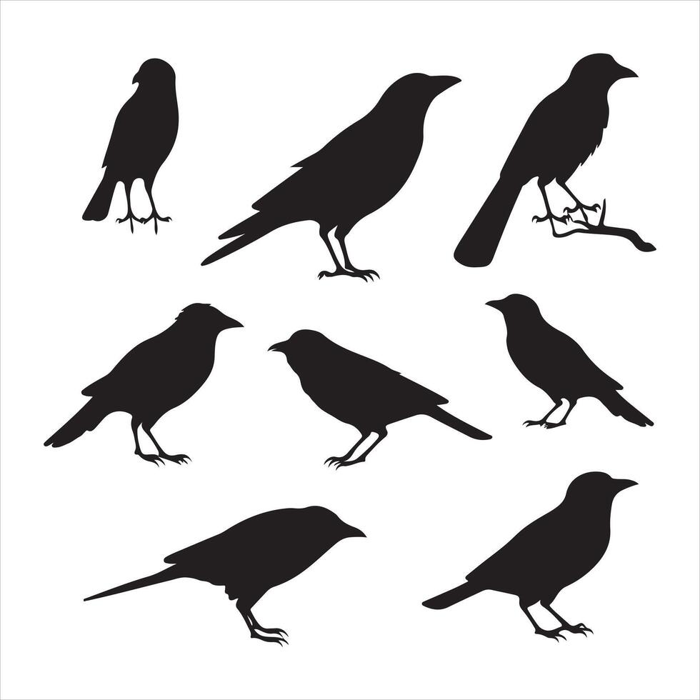 A black silhouette crow bird set vector