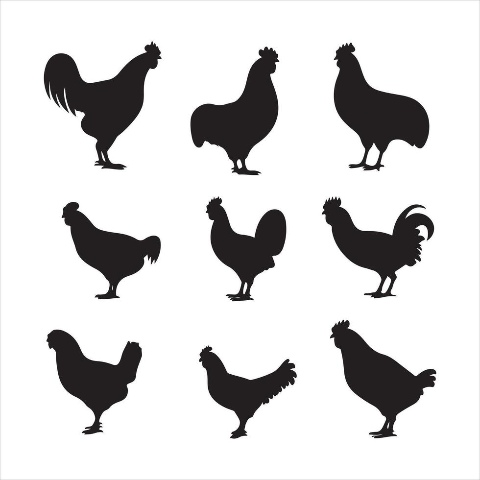 A black silhouette chicken set vector