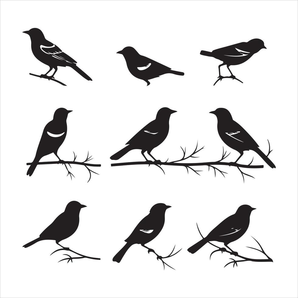 A black silhouette Jay bird set vector