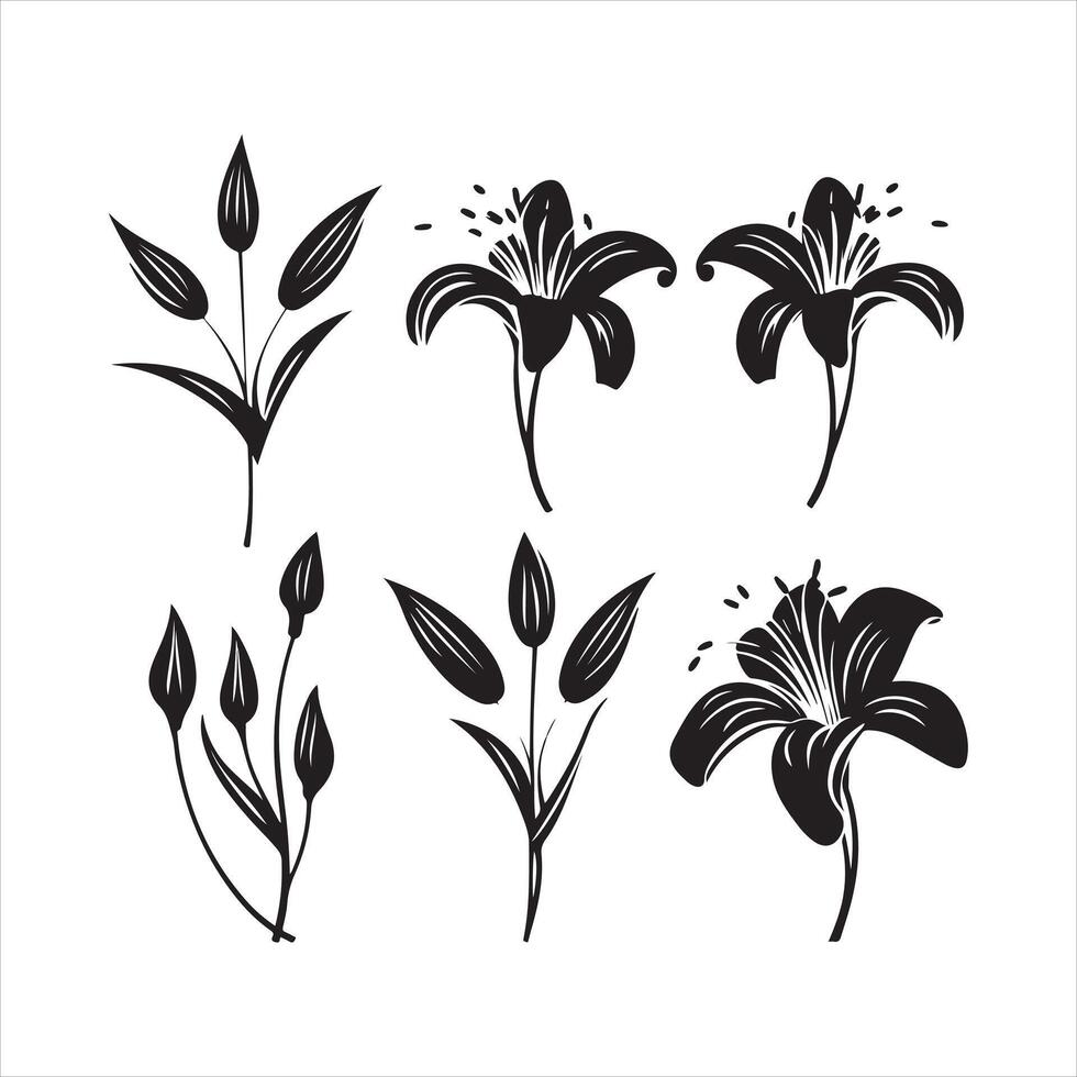 un negro silueta lirio flor conjunto vector