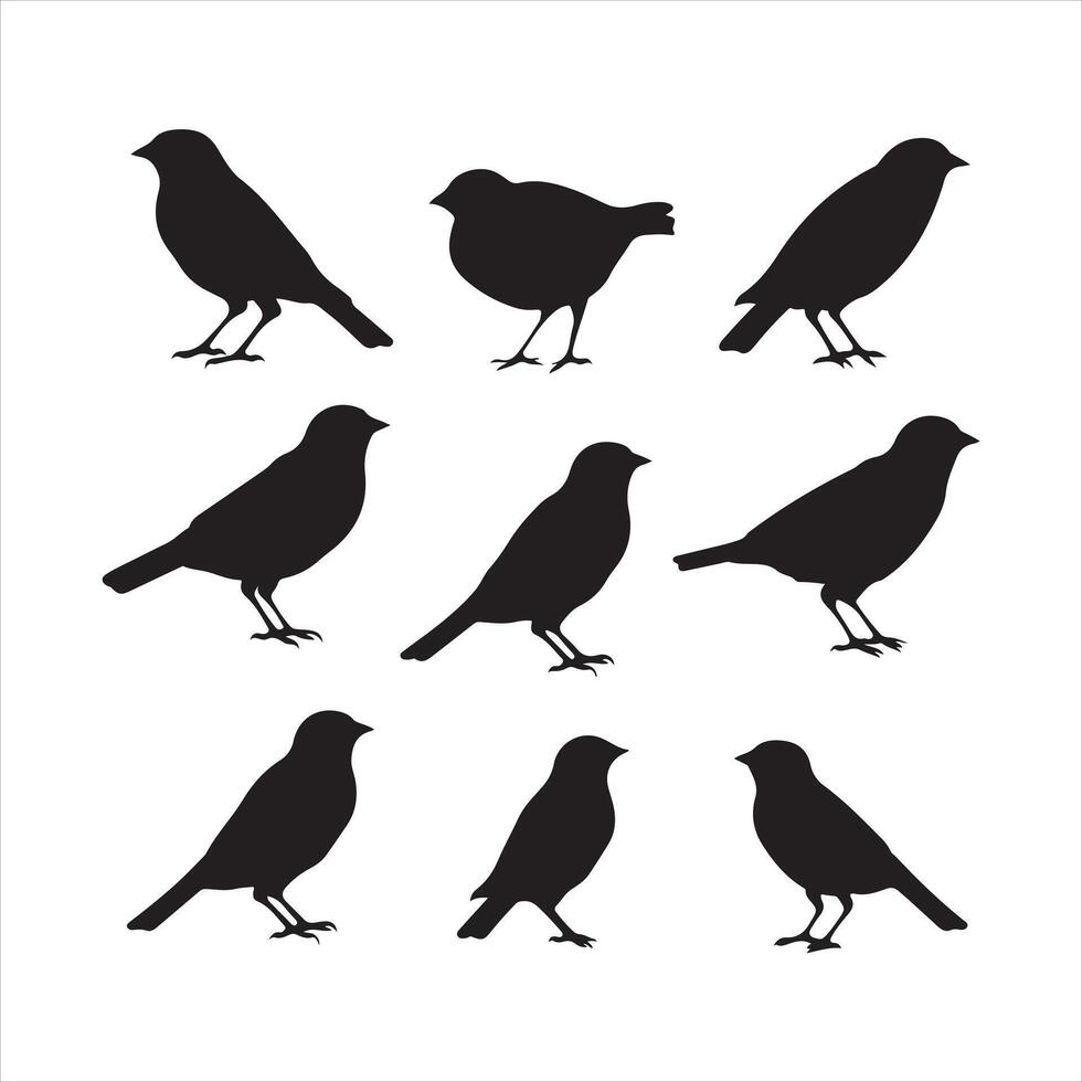 A black silhouette Finch bird set vector