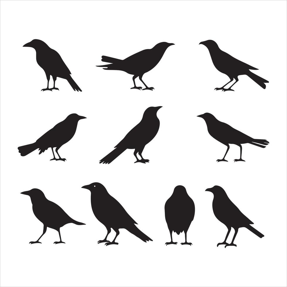 A black silhouette crow bird set vector