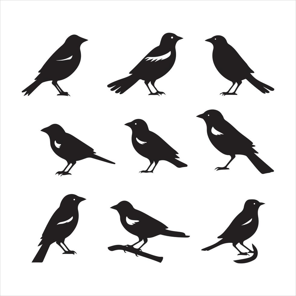 A black silhouette Jay bird set vector