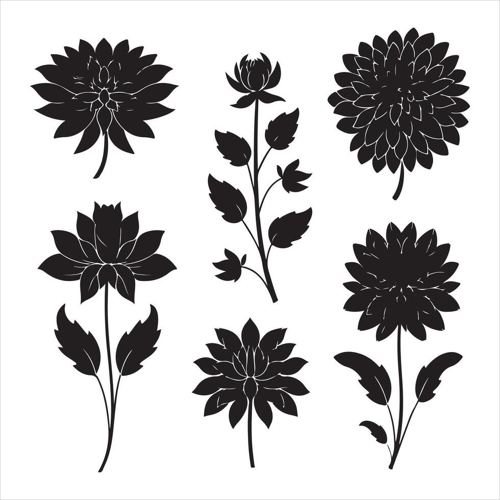 A black silhouette dahlia flower set vector