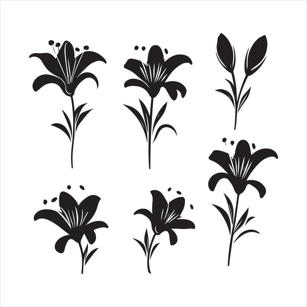 A black silhouette Lily flower set vector