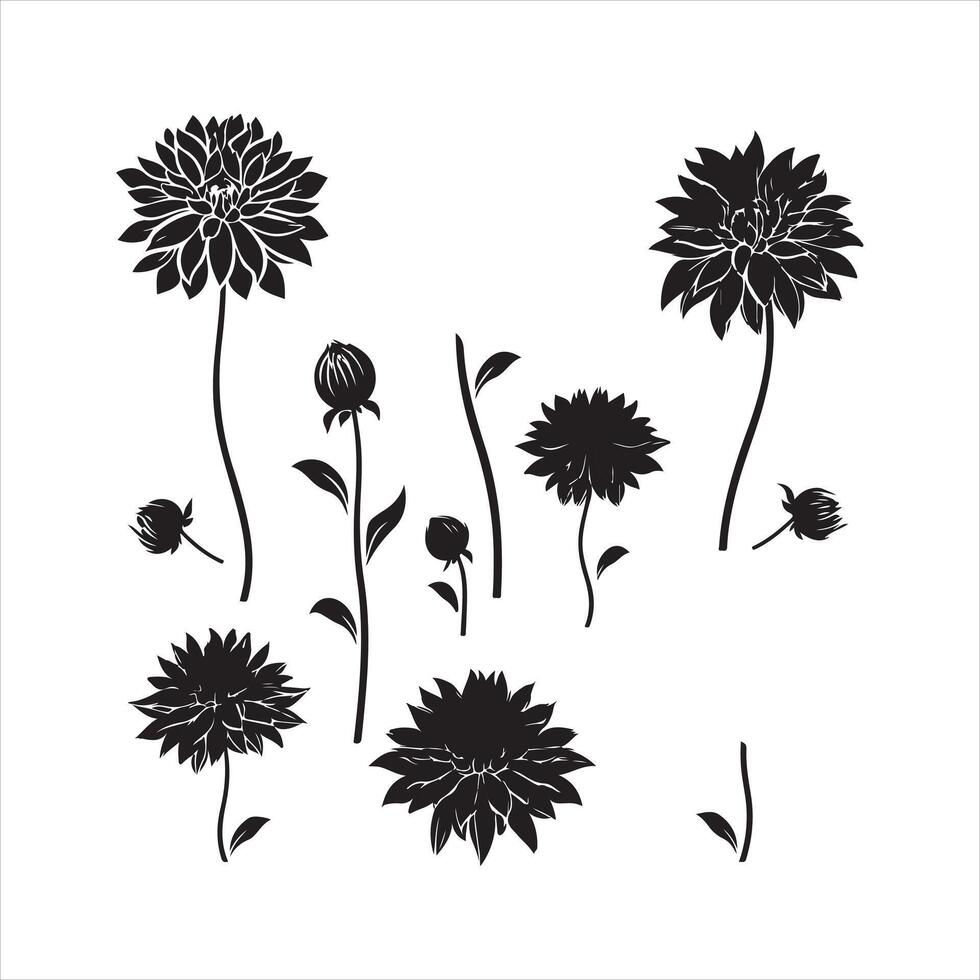 un negro silueta dalia flor conjunto vector