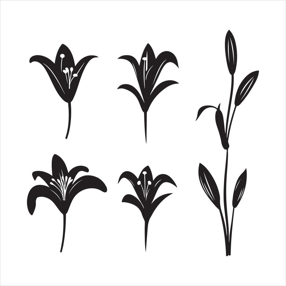 un negro silueta lirio flor conjunto vector