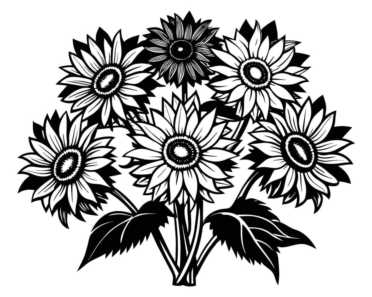 Black and white sketch of sunflowers Vector illustration