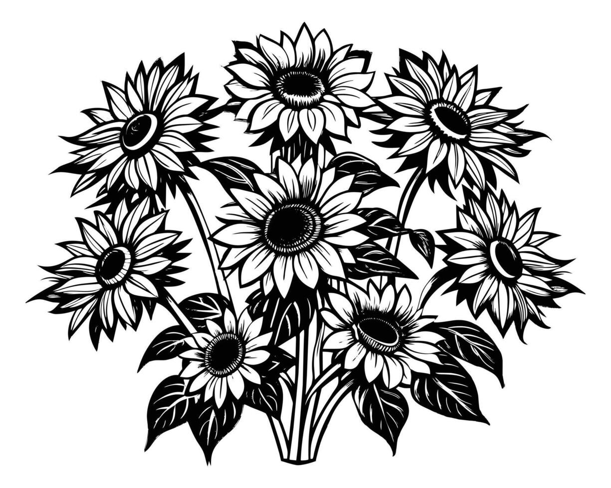 Black and white sketch of sunflowers Vector illustration