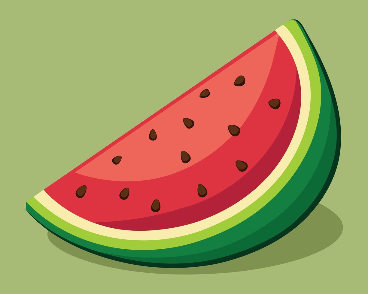 Watermelon vector on white background