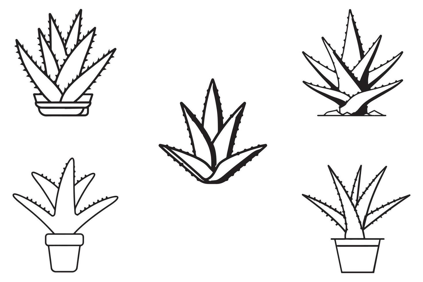 Hand Drawn Aloe Vera In Pot Vector On White Background