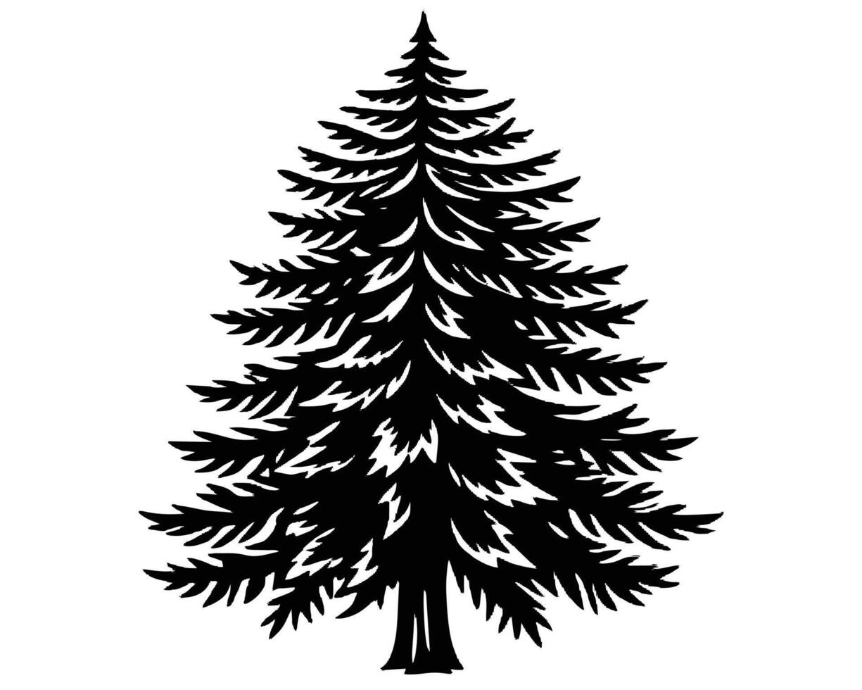 Silhouette of tall pine tree on a white background Vector illustration