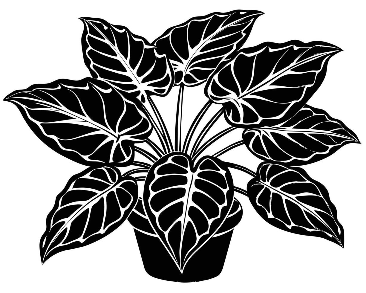 Beautiful foliage plants on a white background Vector illustration