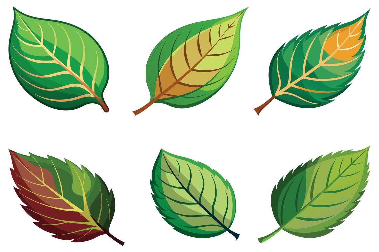 Leaf stock set vector design illustration