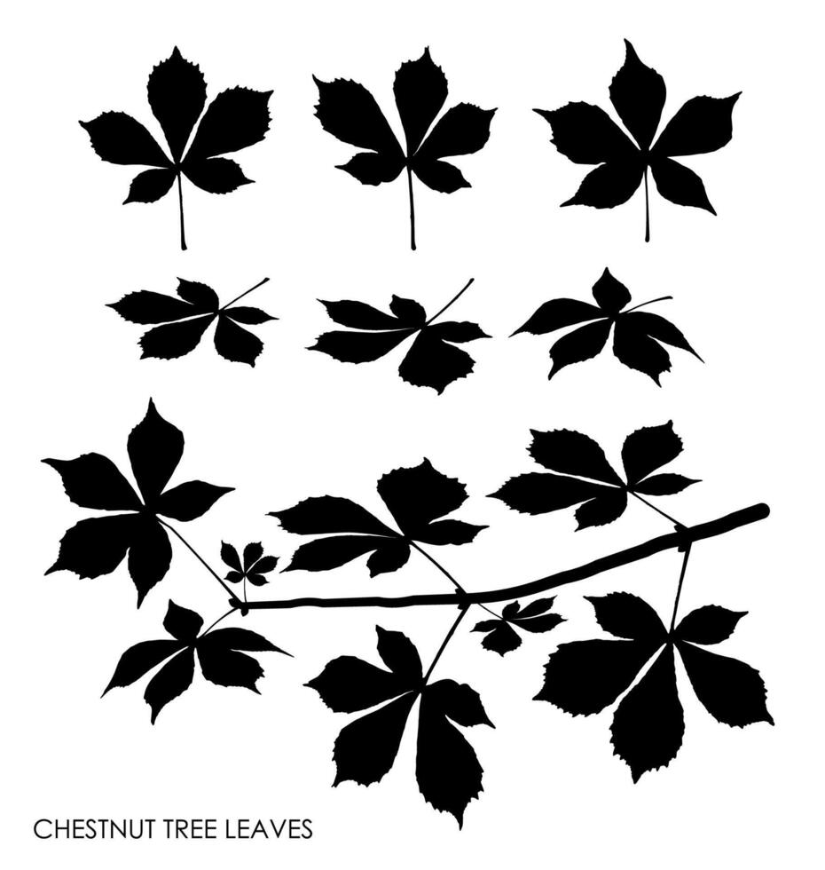 negro siluetas de castaña árbol hojas aislado en blanco. otoño caído hojas de castaña árbol. vector