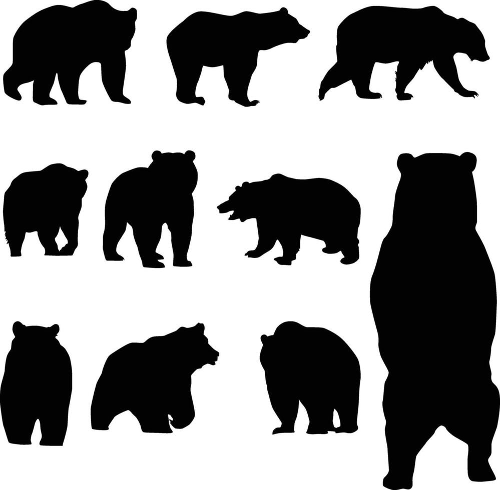 conjunto de oso pardo oso silueta ilustración. fauna silvestre animal varios actitud en vector