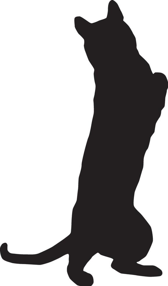Silhouette of a cat full body illustration vector