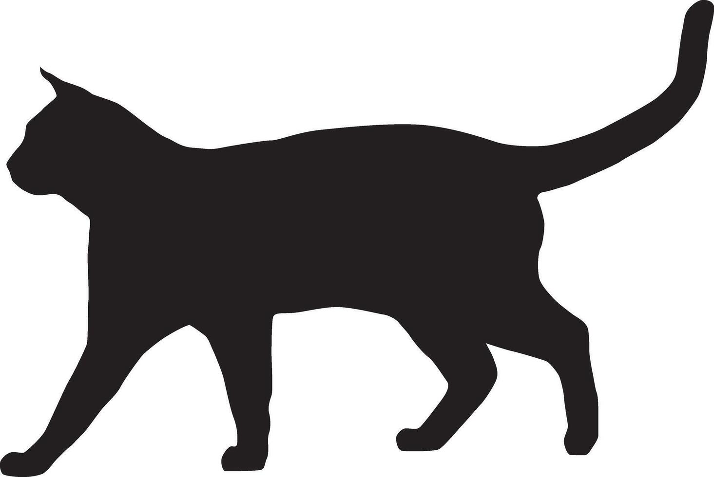 Silhouette of a cat full body illustration vector