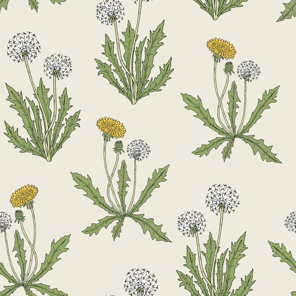 Gorgeous colored botanical seamless pattern with blooming dandelion plants, yellow flowers, seed heads and leaves hand drawn in retro style. Natural vector illustration for fabric print, wallpaper.