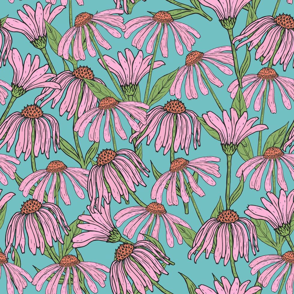 Romantic floral seamless pattern with beautiful echinacea flowers, stems and leaves on blue background. Flowering herb hand drawn in antique style. Vector illustration for wallpaper, wrapping paper.