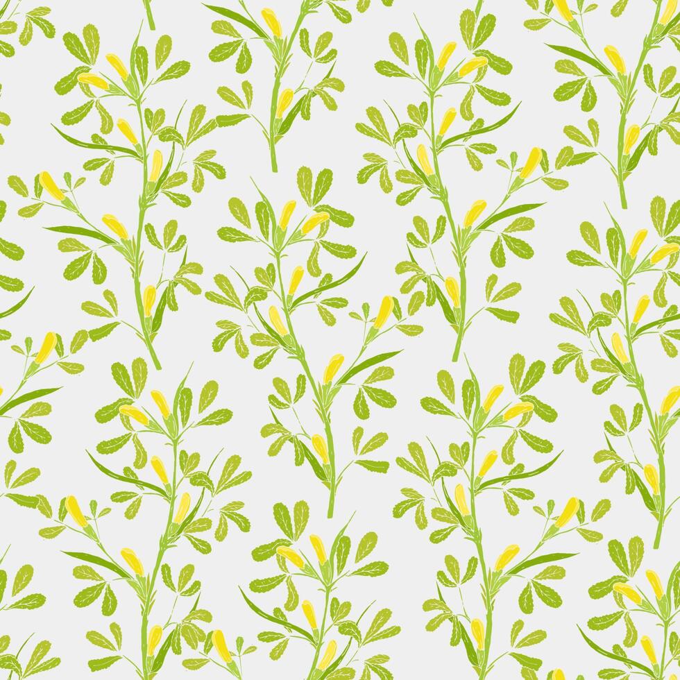 Floral seamless pattern with flowering fenugreek plants on white background. Pretty yellow flowers growing on green stems with leaves hand drawn in vintage style. Vector illustration for wallpaper.