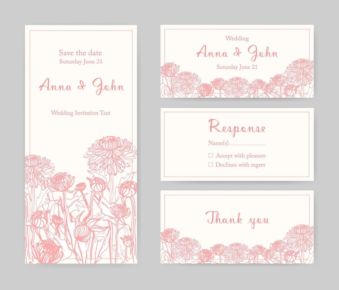 Collection of elegant templates for flyer, Save the Date card or wedding invitation with beautiful Japanese chrysanthemum flowers hand drawn with pink lines on white background. Vector illustration.